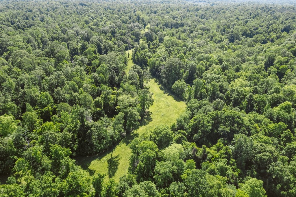 1001 Travelers Rest Lorman, MS 39096 - Photo 36 of 47 Photo 36