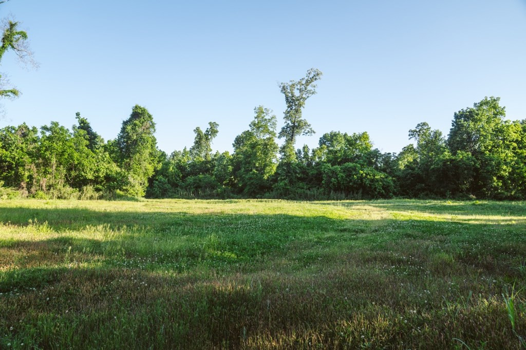 1001 Travelers Rest Lorman, MS 39096 - Photo 41 of 47 Photo 41