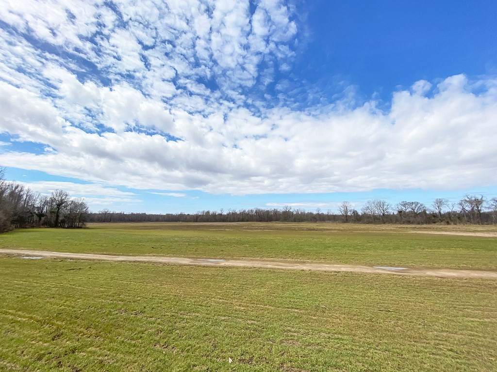 1001 Travelers Rest Lorman, MS 39096 - Photo 7 of 47 Photo 7