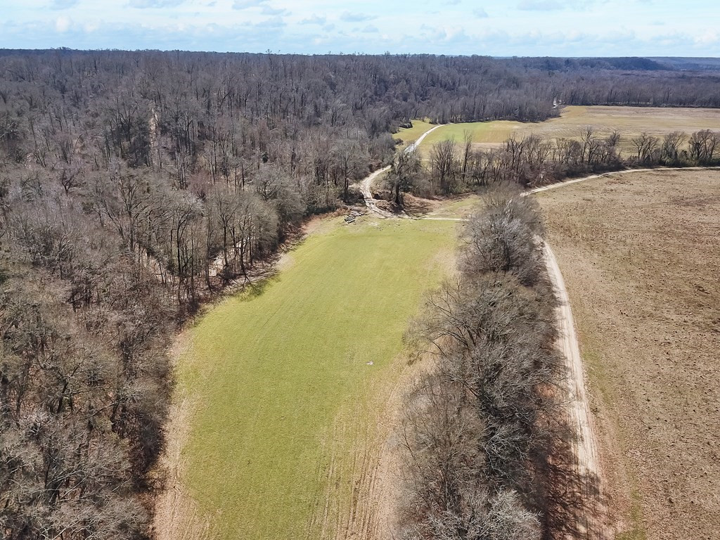 1001 Travelers Rest Lorman, MS 39096 - Photo 9 of 47 Photo 9
