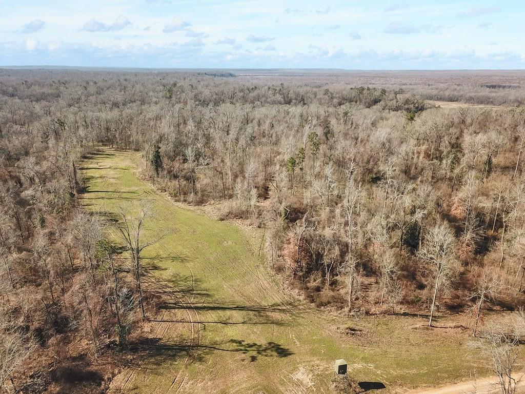 1001 Travelers Rest Lorman, MS 39096 - Photo 10 of 47 Photo 10