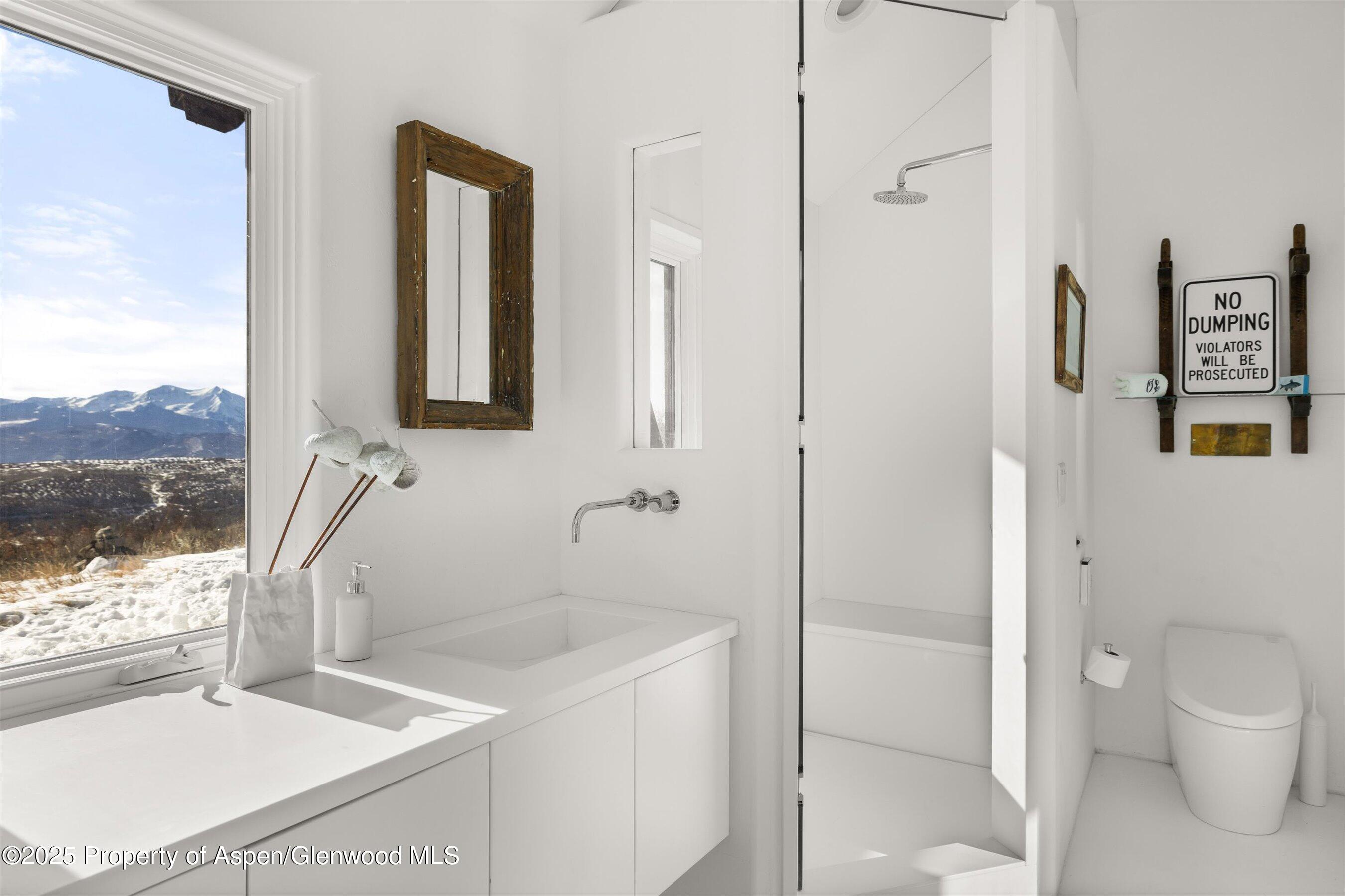 2103 Ten Peaks Mesa Road Carbondale, CO 81623 - Photo 34 of 52 a bathroom with a sink a toilet and shower