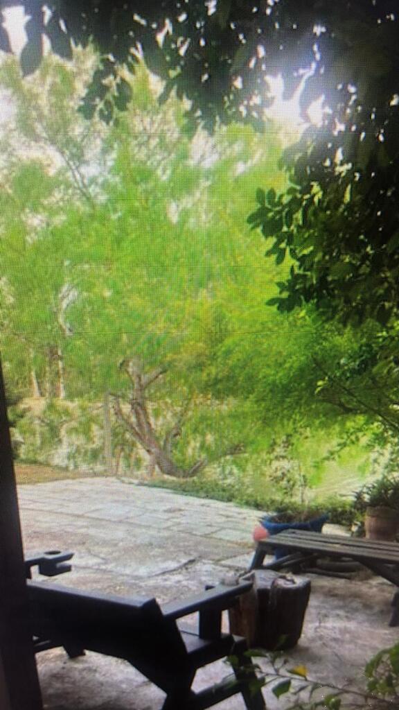 1254 Paredes Line Road, Unit 3 Brownsville, TX 78521 - Photo 2 of 10 Gallery Image 2