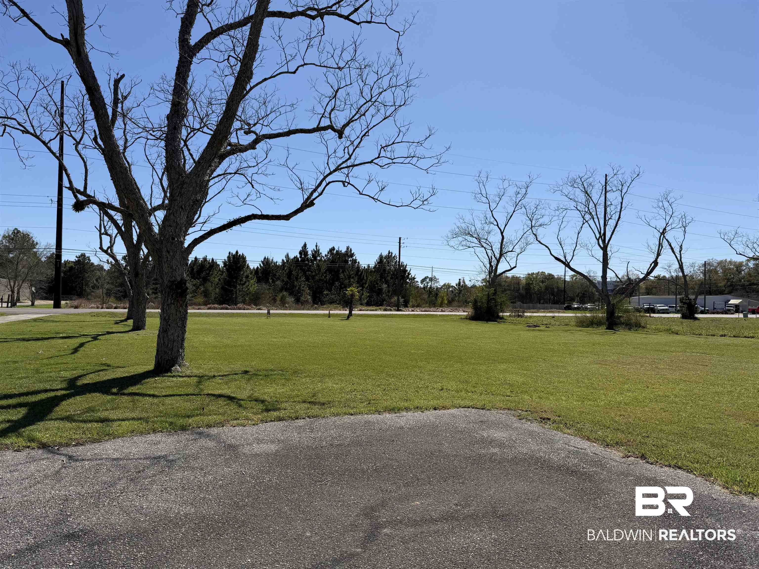21815 Highway 98 Foley, AL 36535 - Photo 4 of 12 View of grassy yard