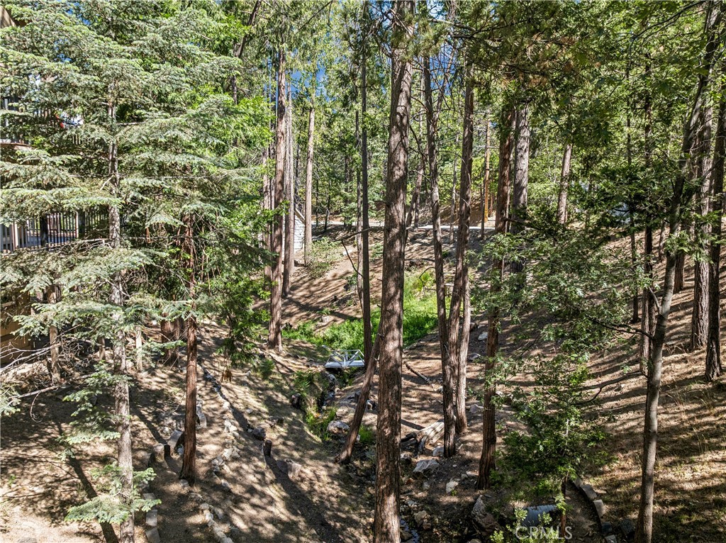 628 Grass Valley Road Lake Arrowhead, CA 92352 - Photo 51 of 64