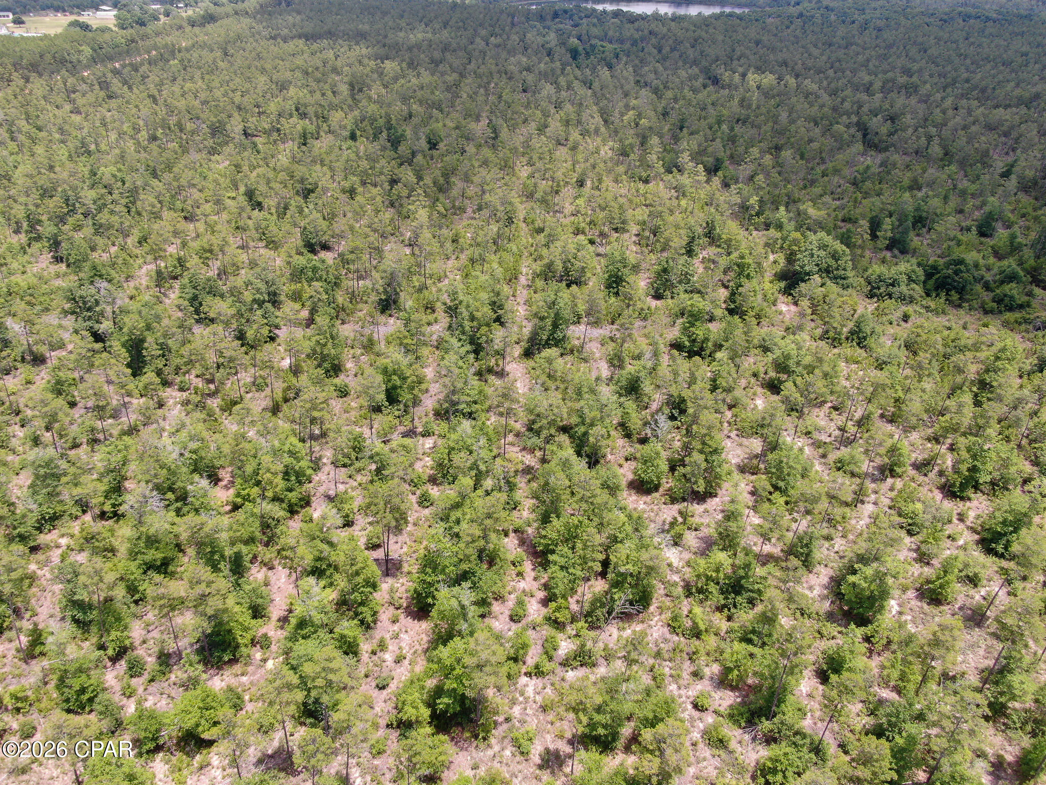 2447 Greenhead Road Chipley, FL 32428 - Photo 44 of 51