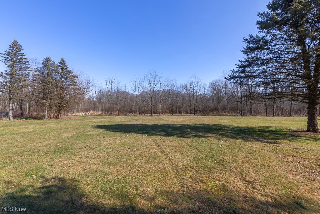 2759 Marks Road Medina, OH 44256 - Photo 22 of 22 Yard