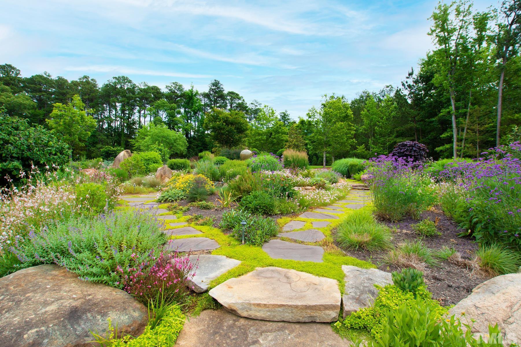 483 Rosemont Drive Durham, NC 27713 - Photo 43 of 88 a view of a garden with plants and large trees