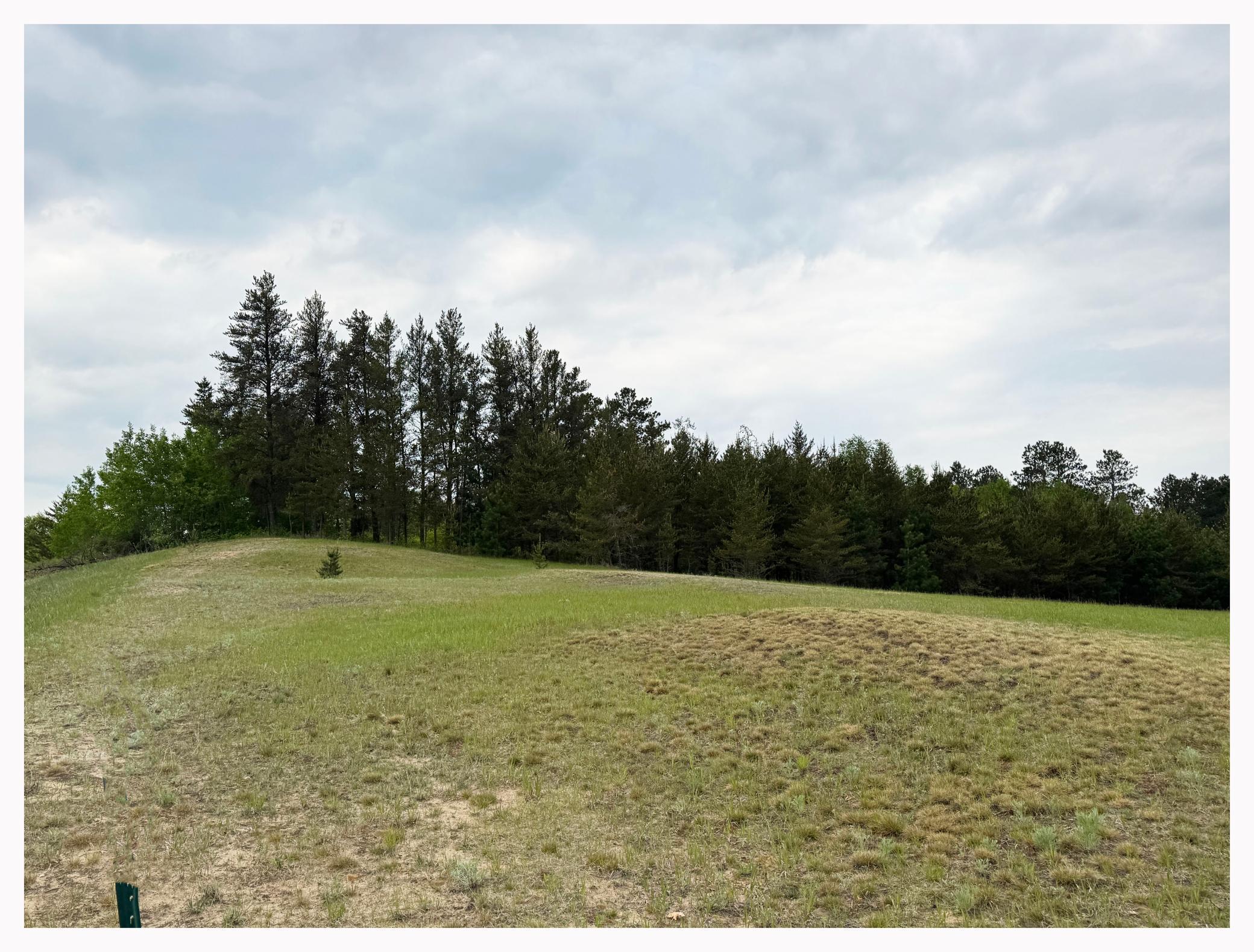 L5-6b1 Trophy Buck Road Southwest Bemidji, MN 56601 - Photo 2 of 4