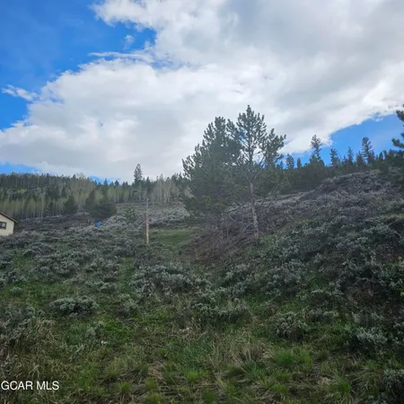 a view of a city and a forest