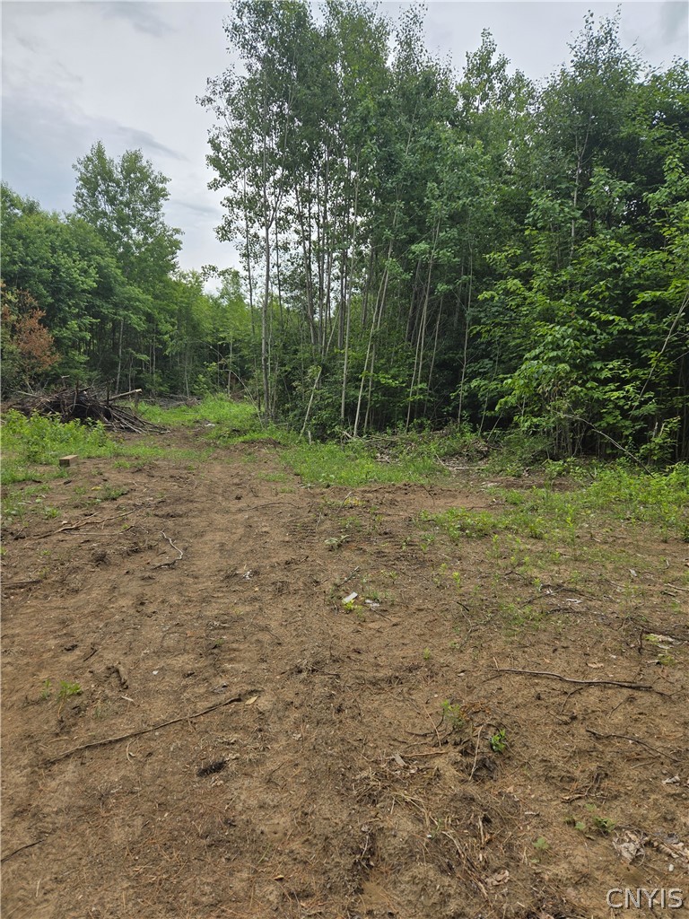 3516 Marmon Road Lyonsdale, NY 13433 - Photo 11 of 11