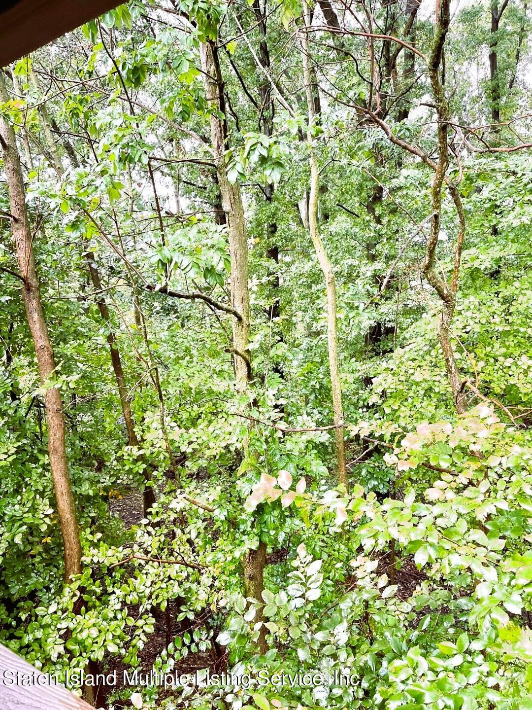 95 Goller Place Staten Island, NY 10314 - Photo 37 of 37 GOLLER GREENERY