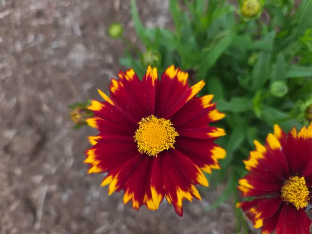 $389,900 | 188 Sawyers Crossing Road, Swanzey, NH 03446