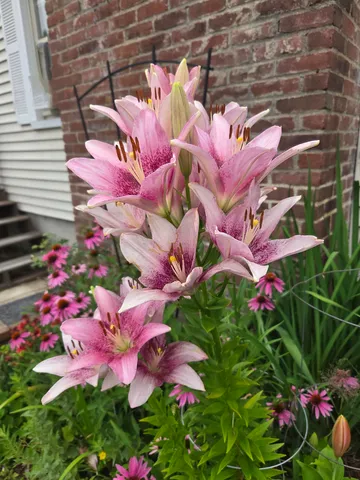 $389,900 | 188 Sawyers Crossing Road, Swanzey, NH 03446