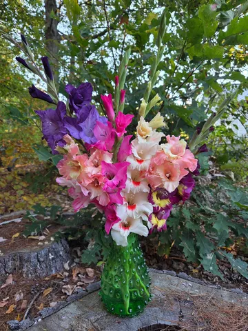 $389,900 | 188 Sawyers Crossing Road, Swanzey, NH 03446