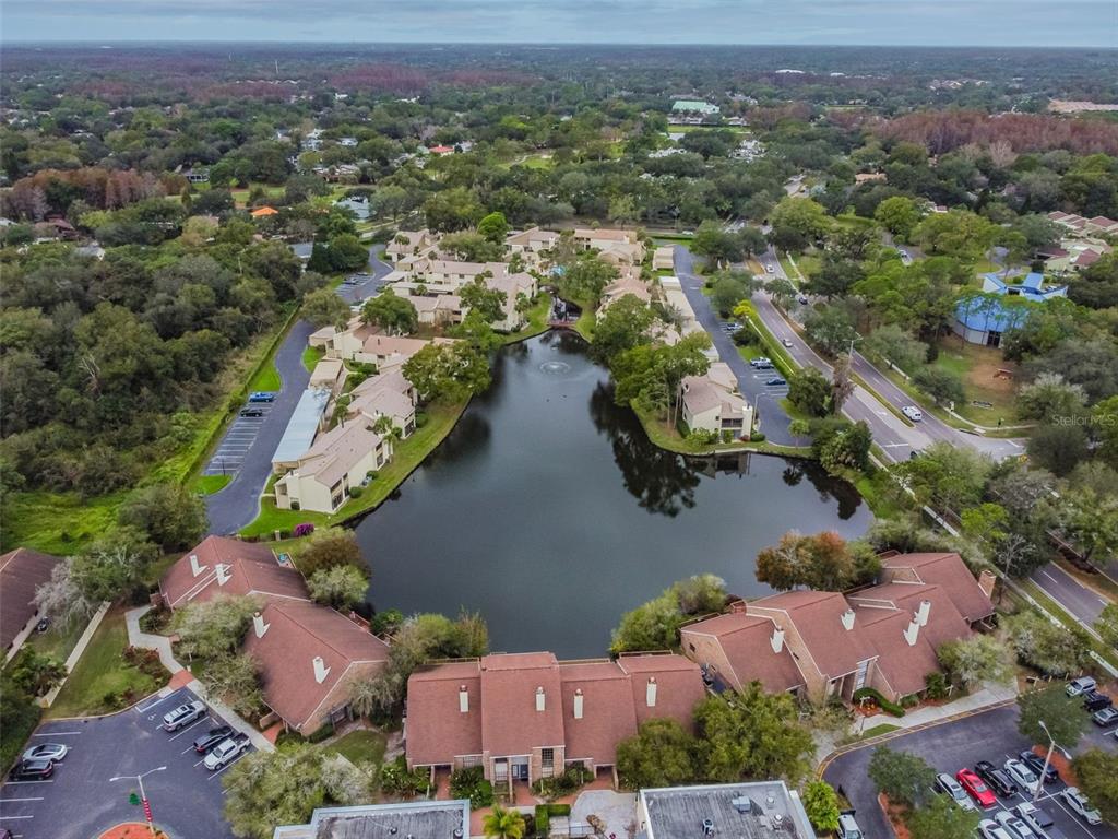 4114 Pinelake Lane, Unit 202 Tampa, FL 33618 - Photo 38 of 64