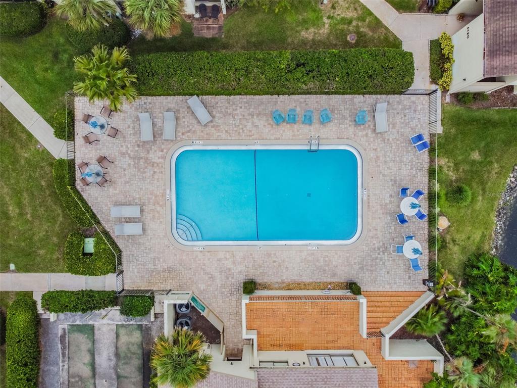 4114 Pinelake Lane, Unit 202 Tampa, FL 33618 - Photo 43 of 64