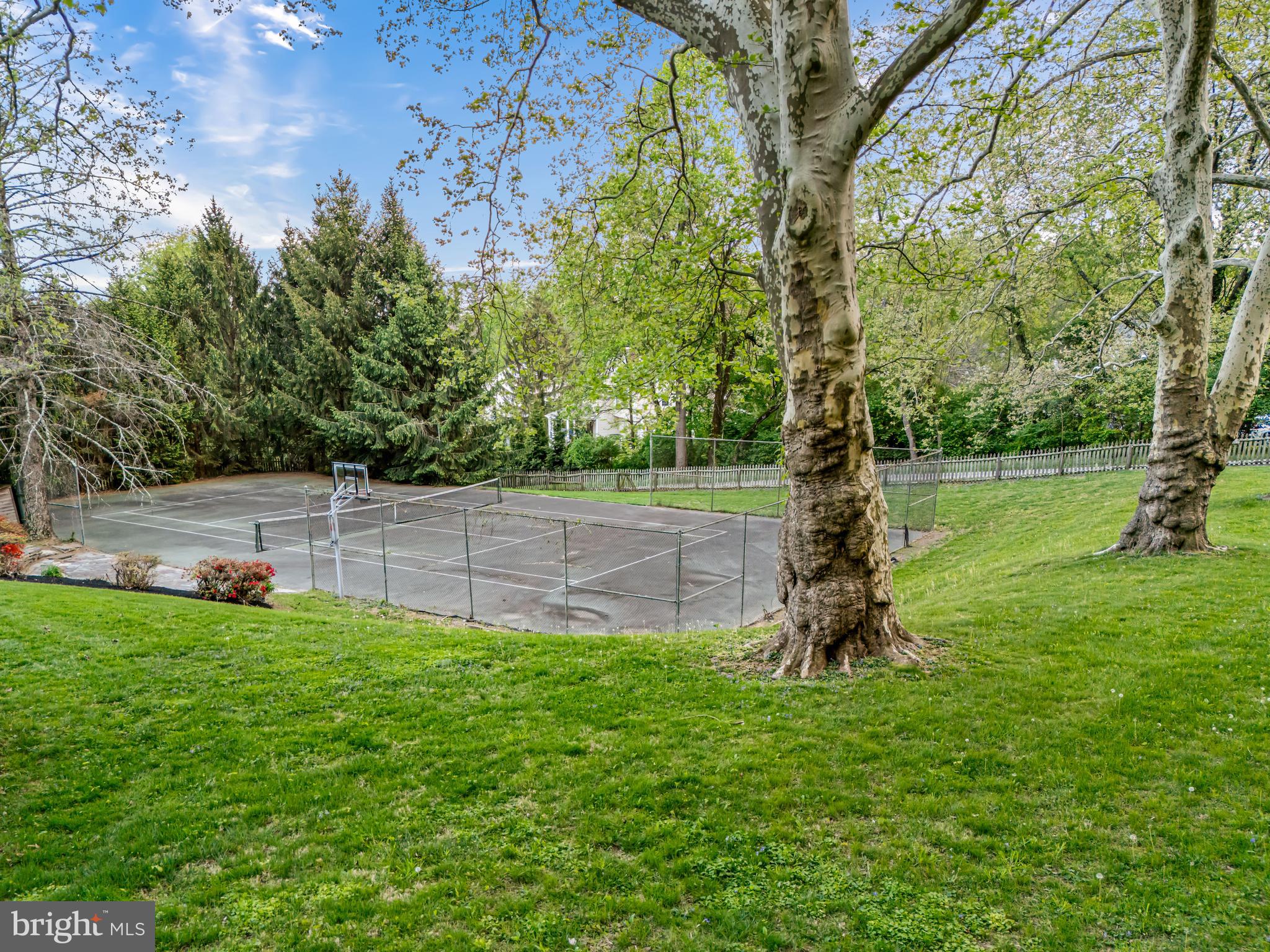 461 South Roberts Road Bryn Mawr, PA 19010 - Photo 4 of 19
