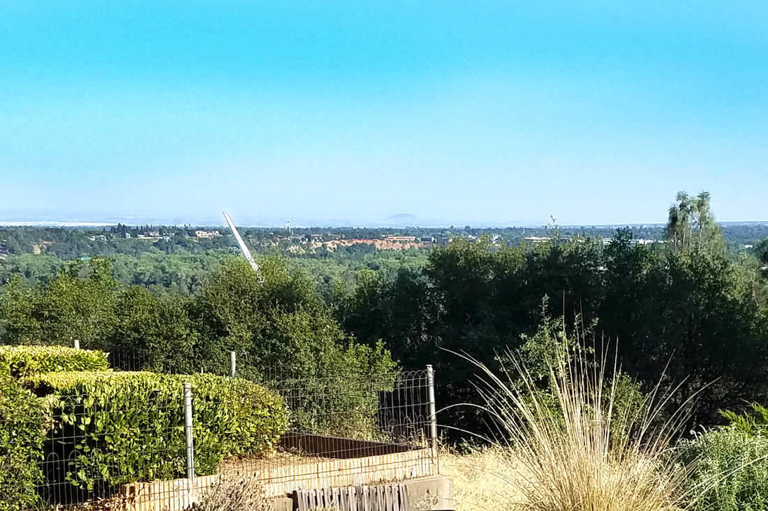 1575 Barbara Road Redding, CA 96003 - Photo 26 of 27 a view of a yard with plants