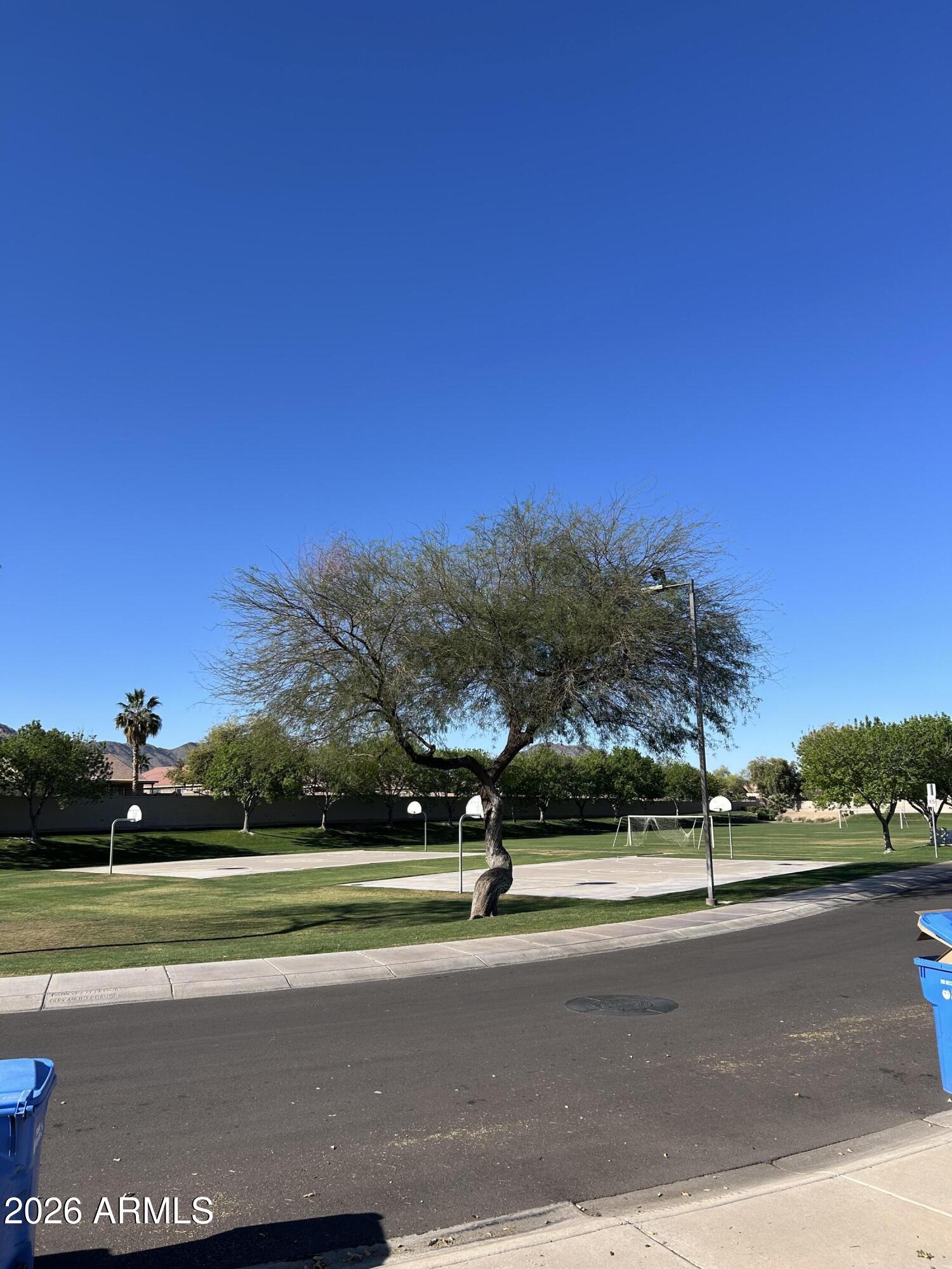 1134 East Pedro Road Phoenix, AZ 85042 - Photo 15 of 15 IMG_2078