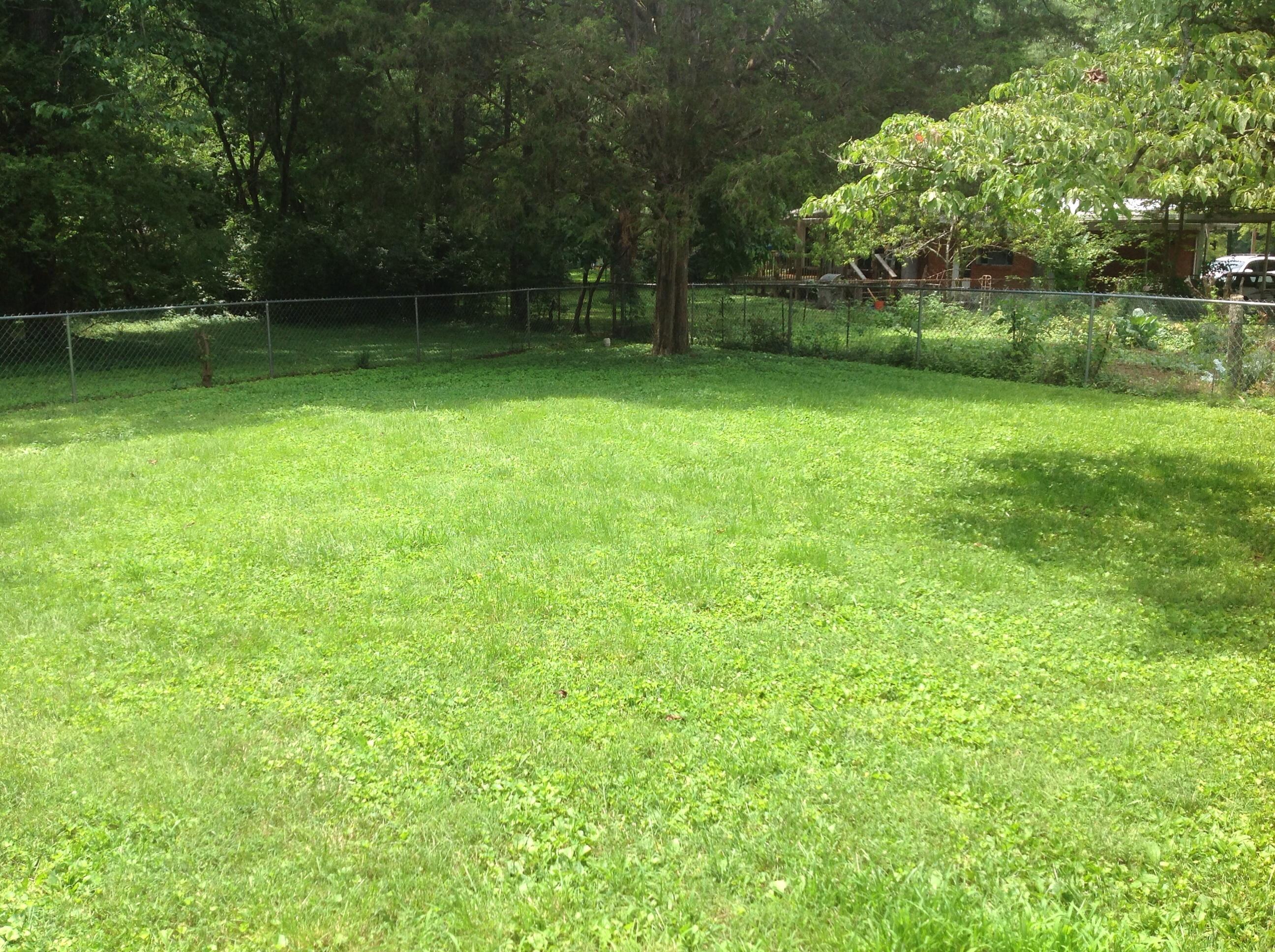 104 Davis Lane Oak Ridge, TN 37830 - Photo 4 of 30 image
