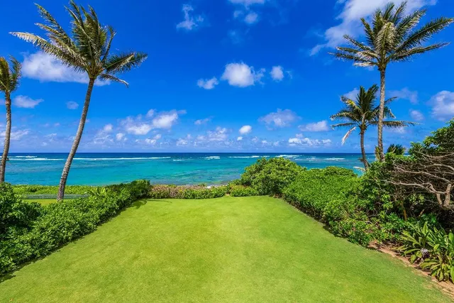 a view of a yard with wooden fence