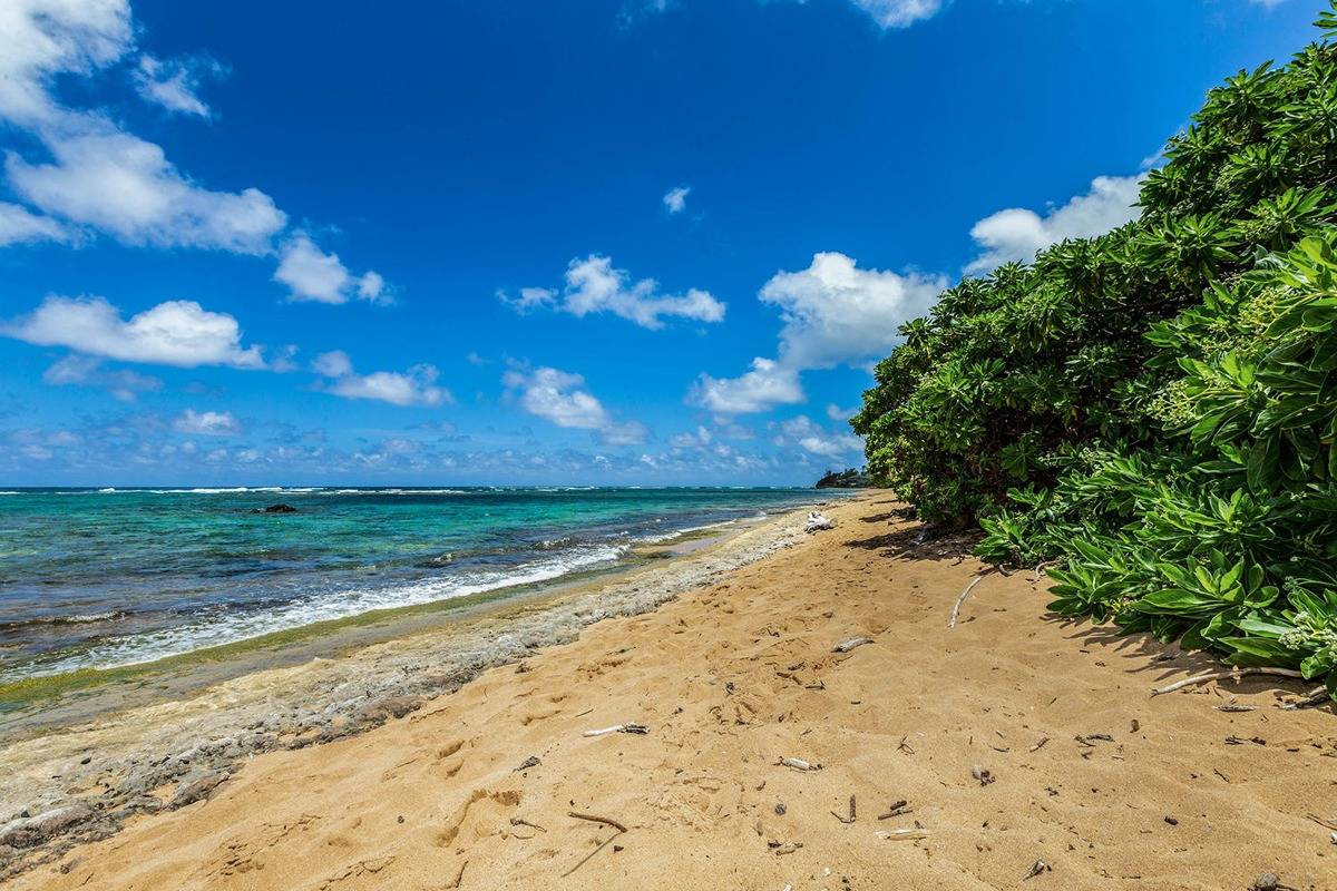 5070 Kukuna Road Kilauea, HI 96754 - Photo 28 of 30 a view of a yard with wooden fence