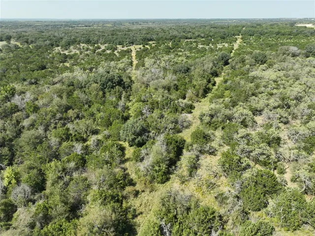 a view of a city with lush green forest