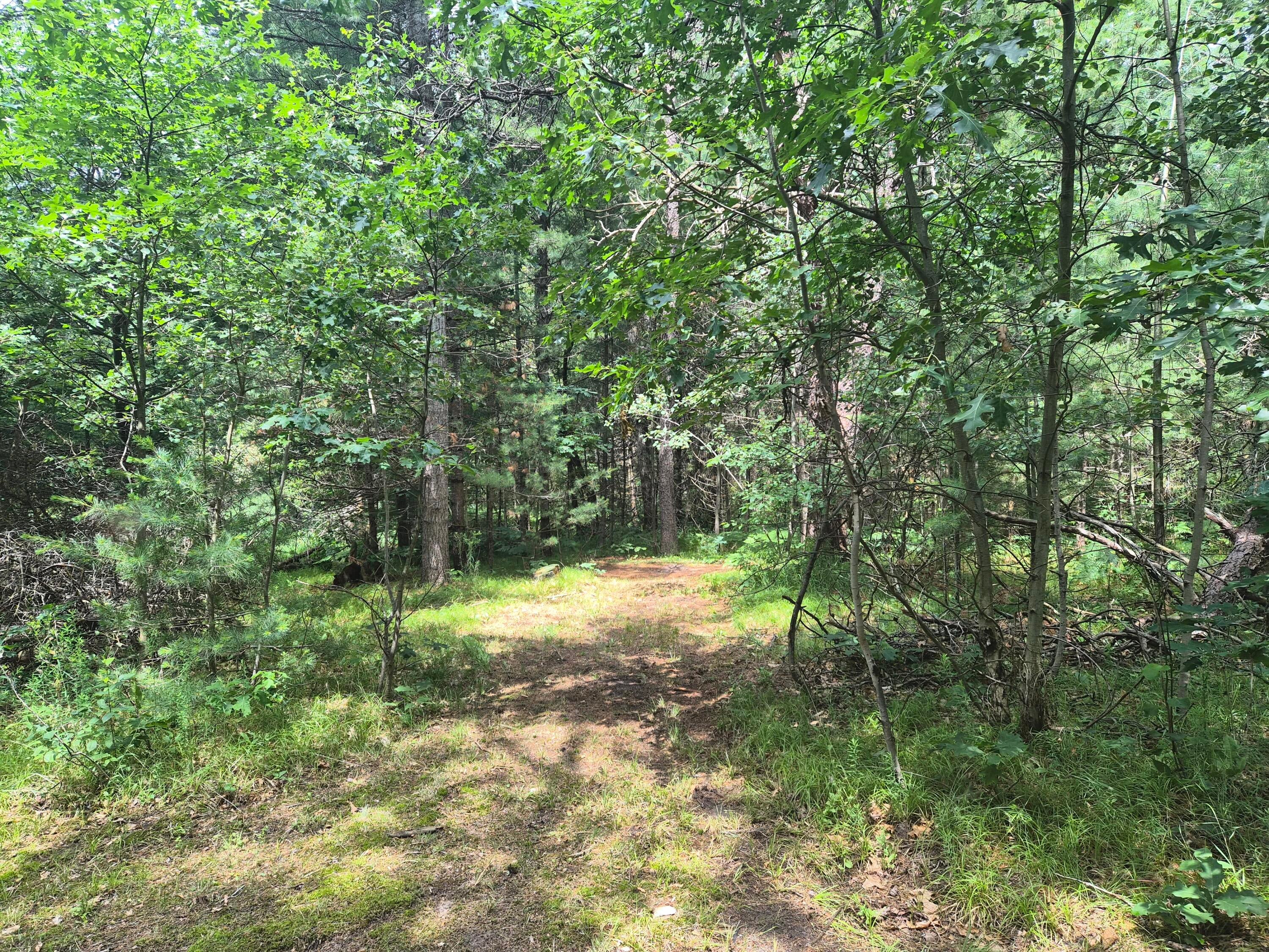10831 South Grayling Road Roscommon, MI 48653 - Photo 158 of 168 Gallery Image 158