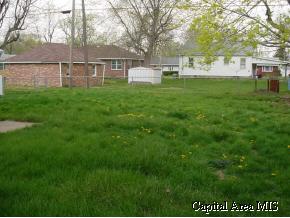 115 West Briggs Street Roodhouse, IL 62082 - Photo 3 of 3