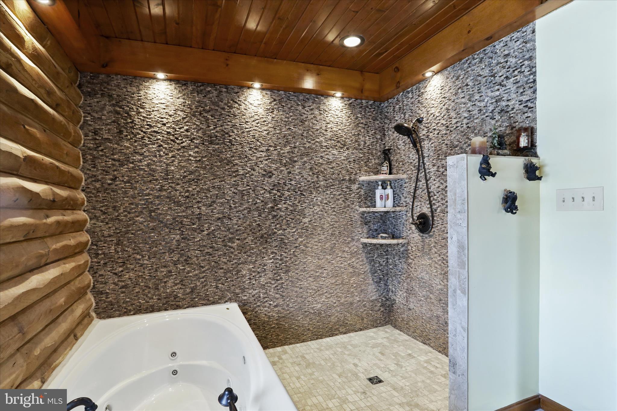 14507 Heavenly Acres Ridge Hancock, MD 21750 - Photo 25 of 65 Primary Bathroom- Custom tiled walk in shower