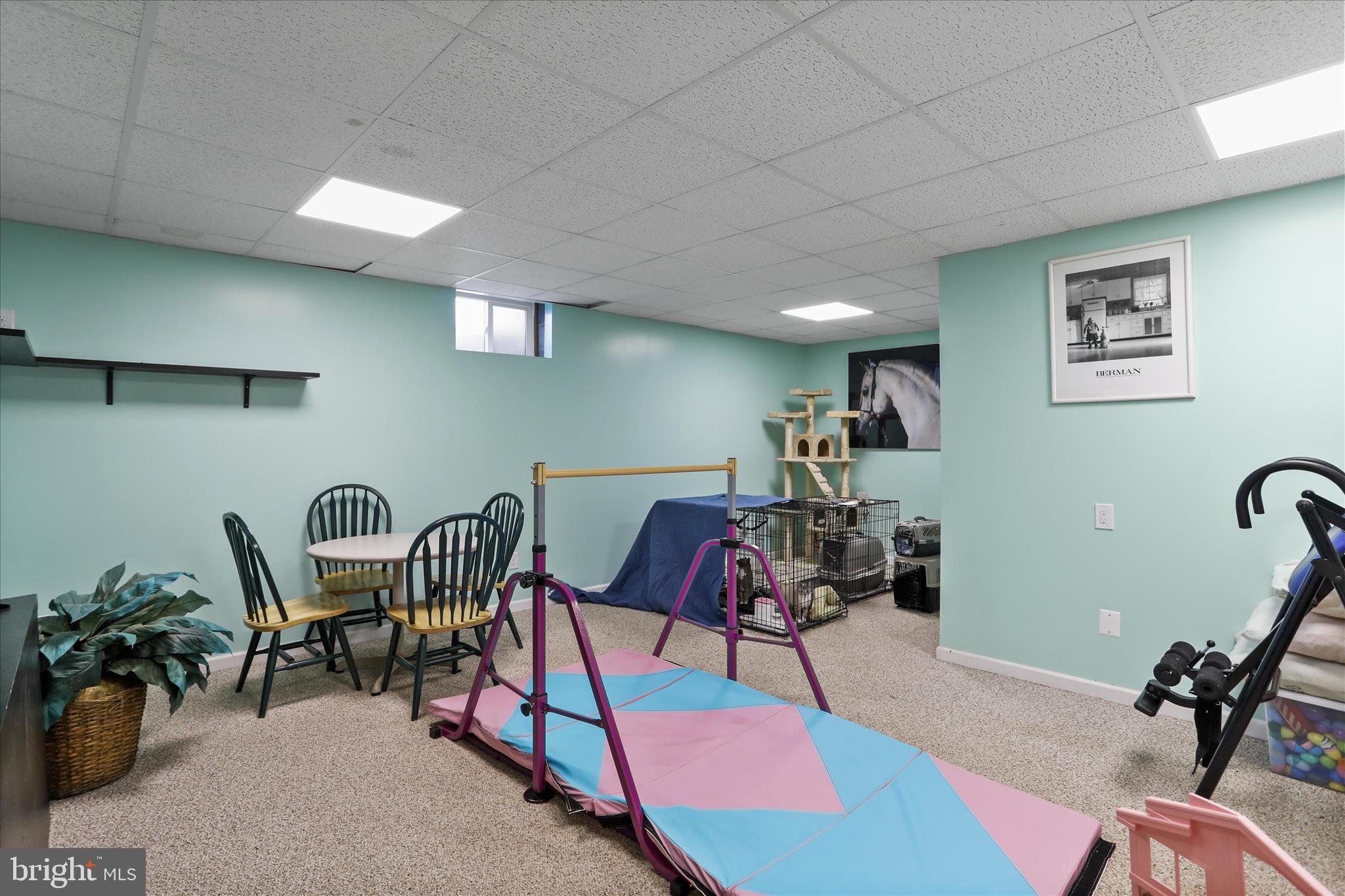 14507 Heavenly Acres Ridge Hancock, MD 21750 - Photo 39 of 70 a living room with furniture gym equipment and a potted plant