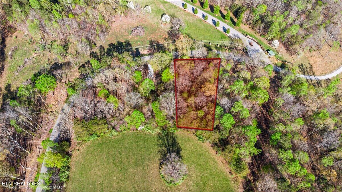 Lot 15 Demory Road La Follette, TN 37766 - Photo 19 of 19 Lot 15