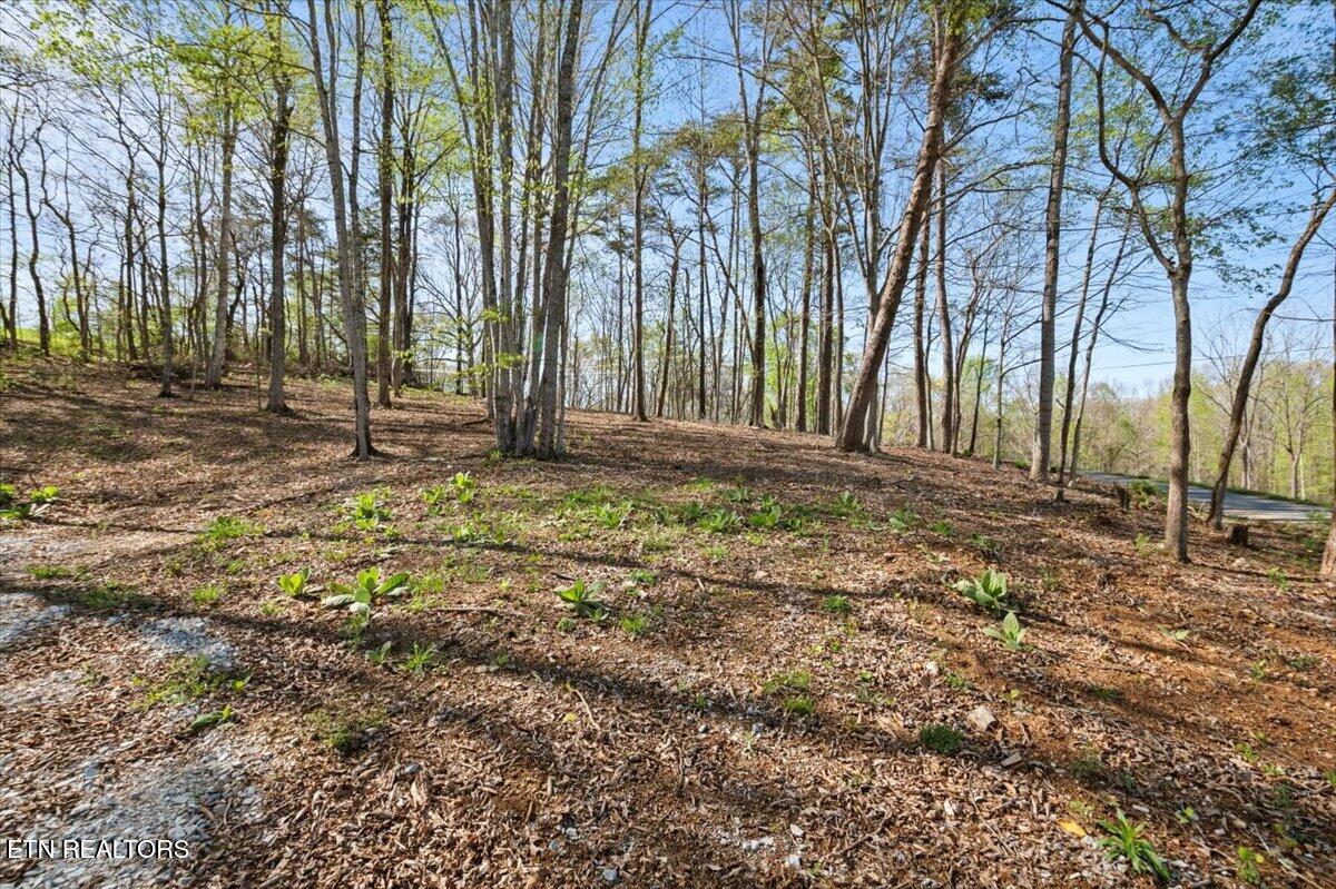 Lot 15 Demory Road La Follette, TN 37766 - Photo 6 of 19 05-Demory Rd
