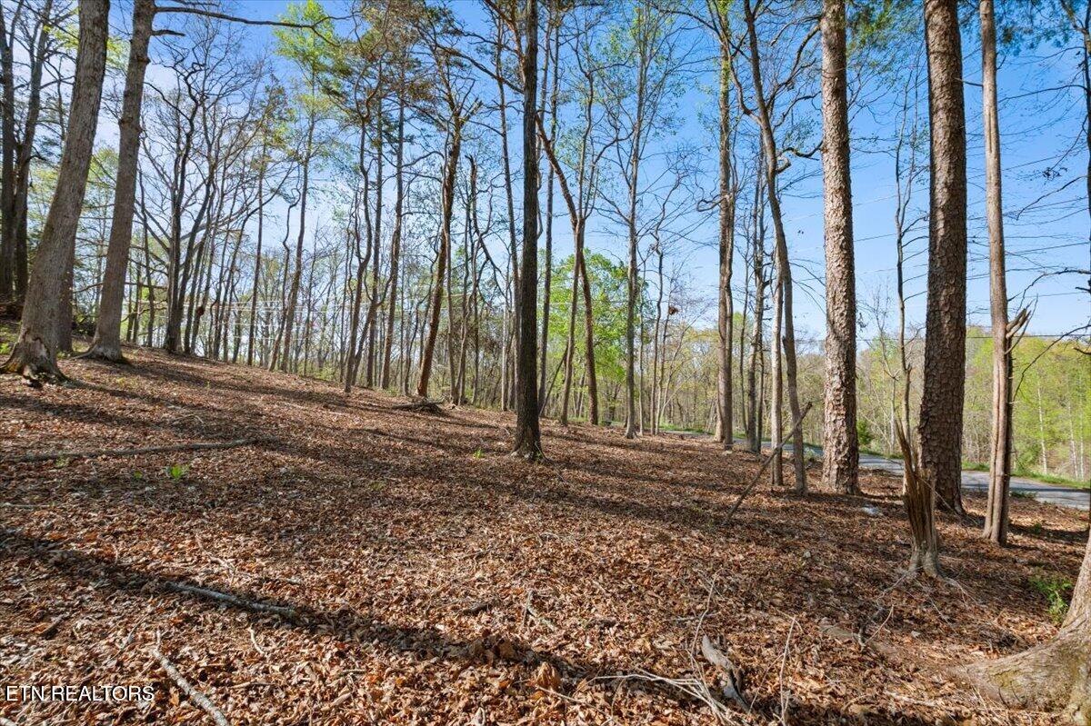 Lot 15 Demory Road La Follette, TN 37766 - Photo 7 of 19 06-Demory Rd