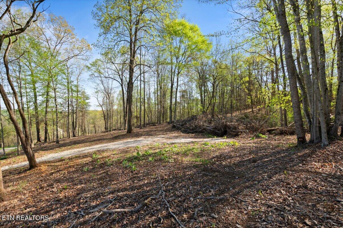 Lot 15 Demory Road La Follette, TN 37766 - Photo 8 of 19 07-Demory Rd