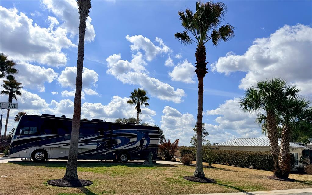 9564 Southeast 47th Way Webster, FL 33597 - Photo 4 of 40 a view of outdoor space