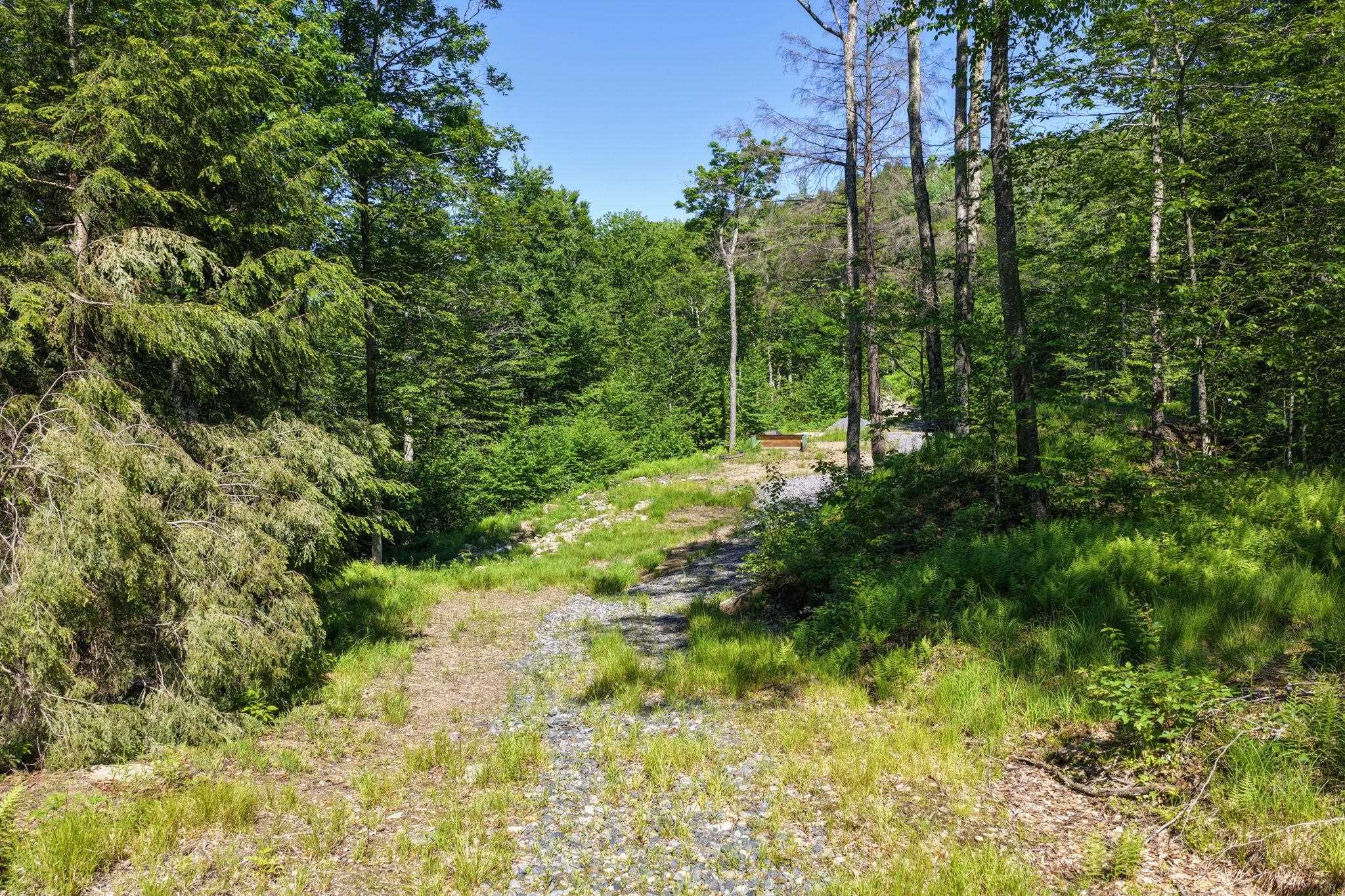 381 Whitaker Farm Road Marlboro, VT 05301 - Photo 14 of 20