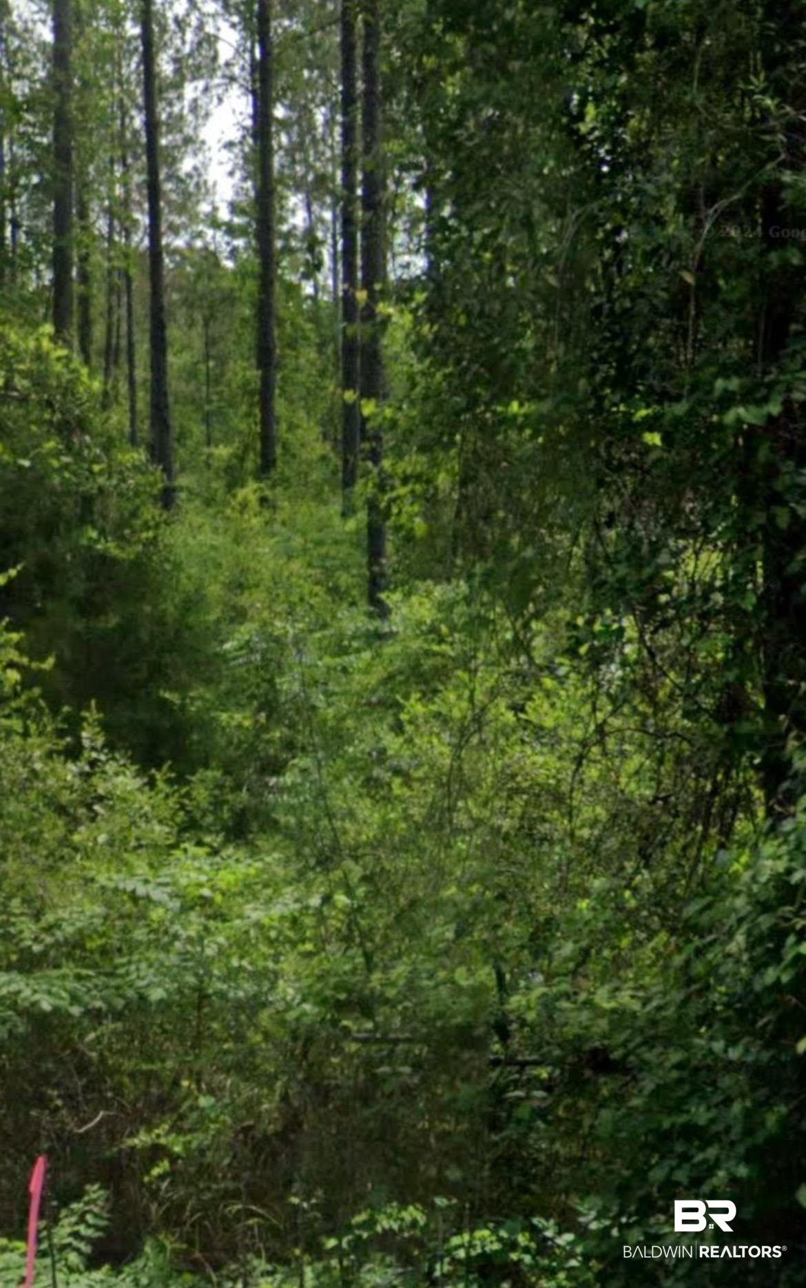 0 Byrnes Lake Road Bay Minette, AL 36507 - Photo 2 of 5