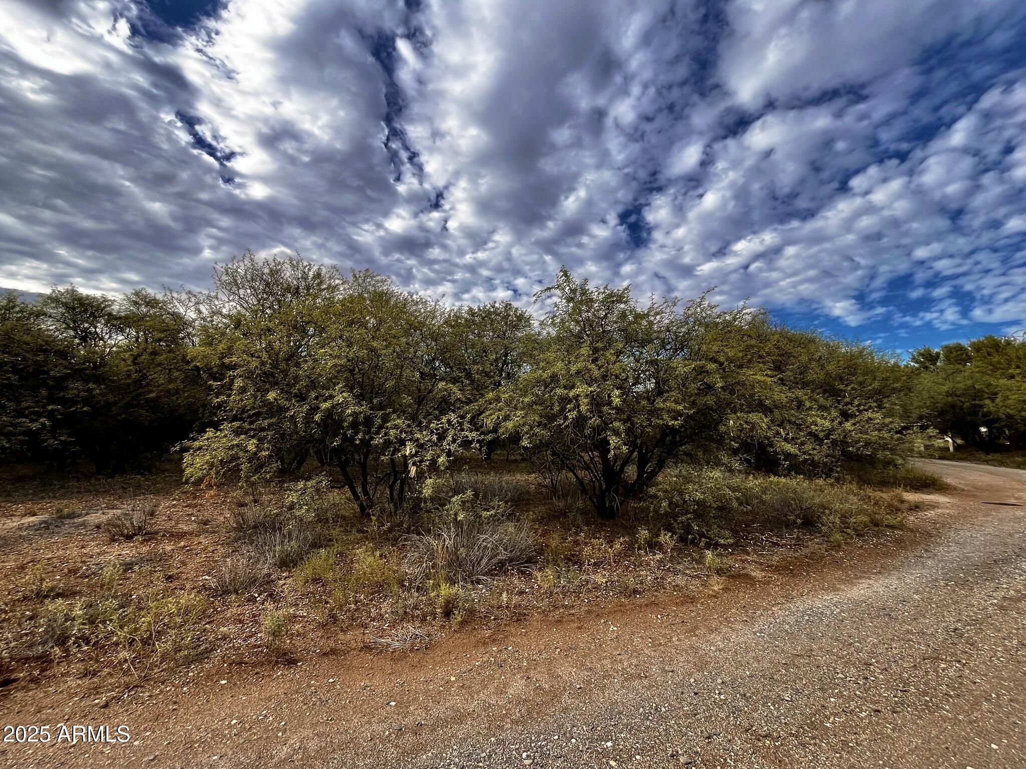 5380 North Barbara Lane, Unit 631 Rimrock, AZ 86335 - Photo 16 of 18 a view of a yard with a tree