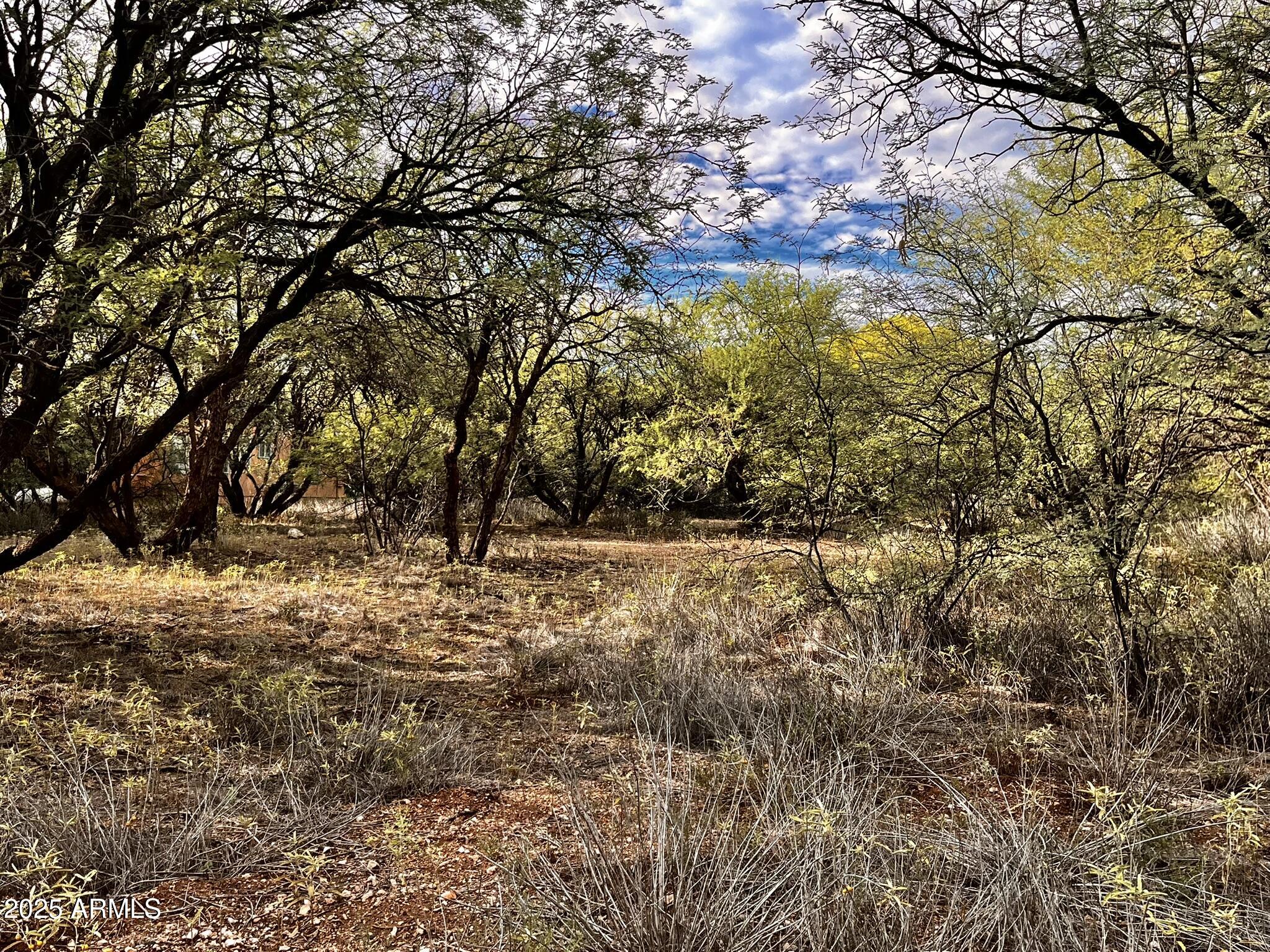 5380 North Barbara Lane, Unit 631 Rimrock, AZ 86335 - Photo 17 of 18 a view of yard covered with snow