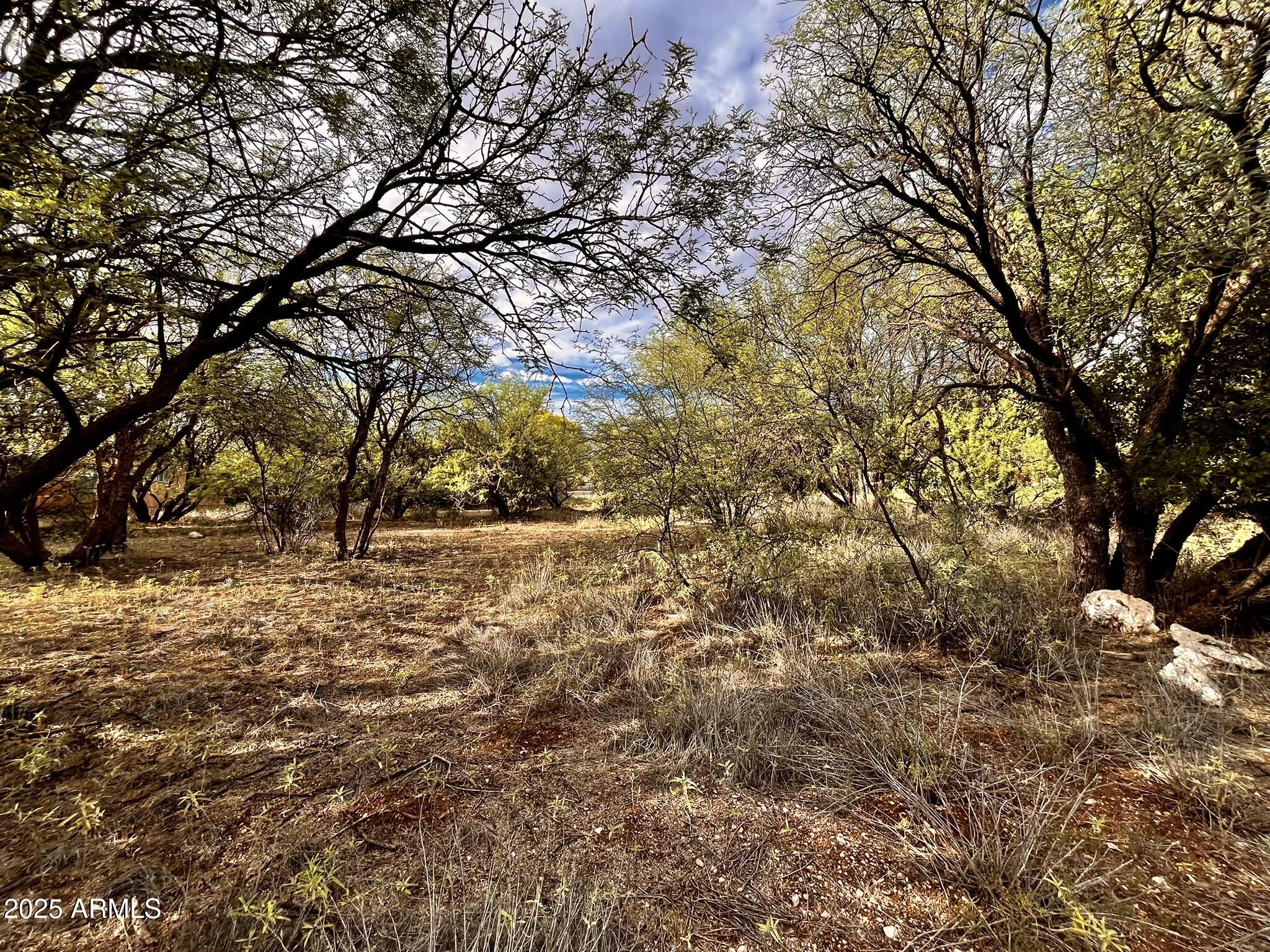 5380 North Barbara Lane, Unit 631 Rimrock, AZ 86335 - Photo 18 of 18 a view of outdoor space
