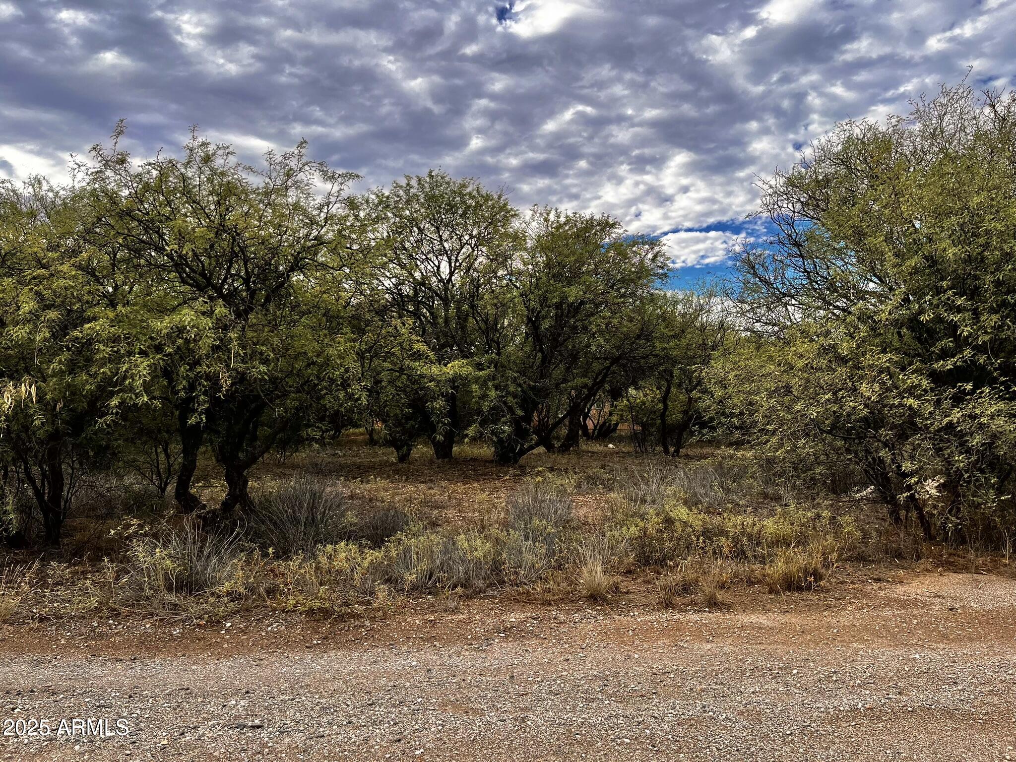 5380 North Barbara Lane, Unit 631 Rimrock, AZ 86335 - Photo 5 of 18 a view of a yard with a tree