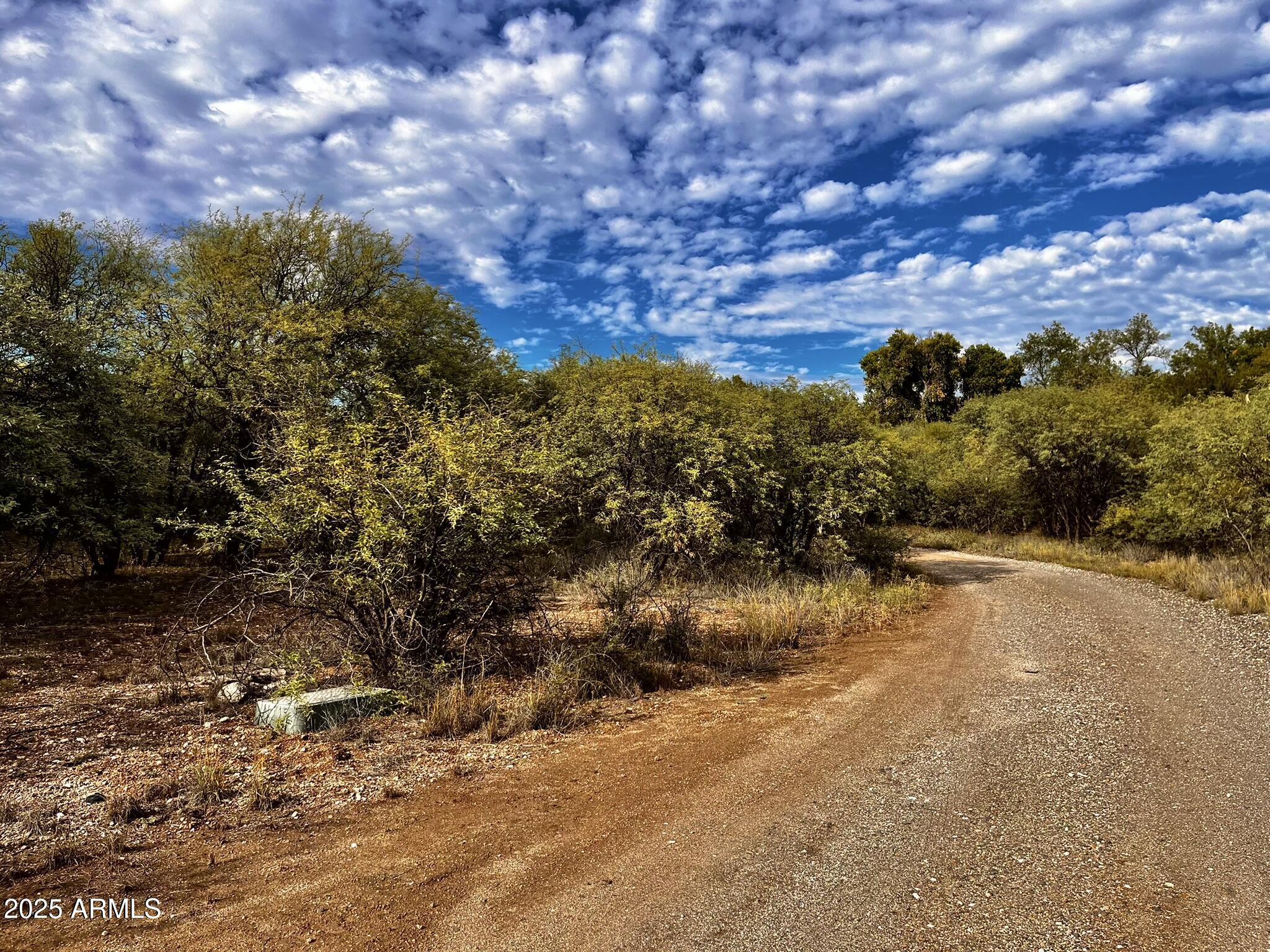 5380 North Barbara Lane, Unit 631 Rimrock, AZ 86335 - Photo 6 of 18 a view of a bunch of trees