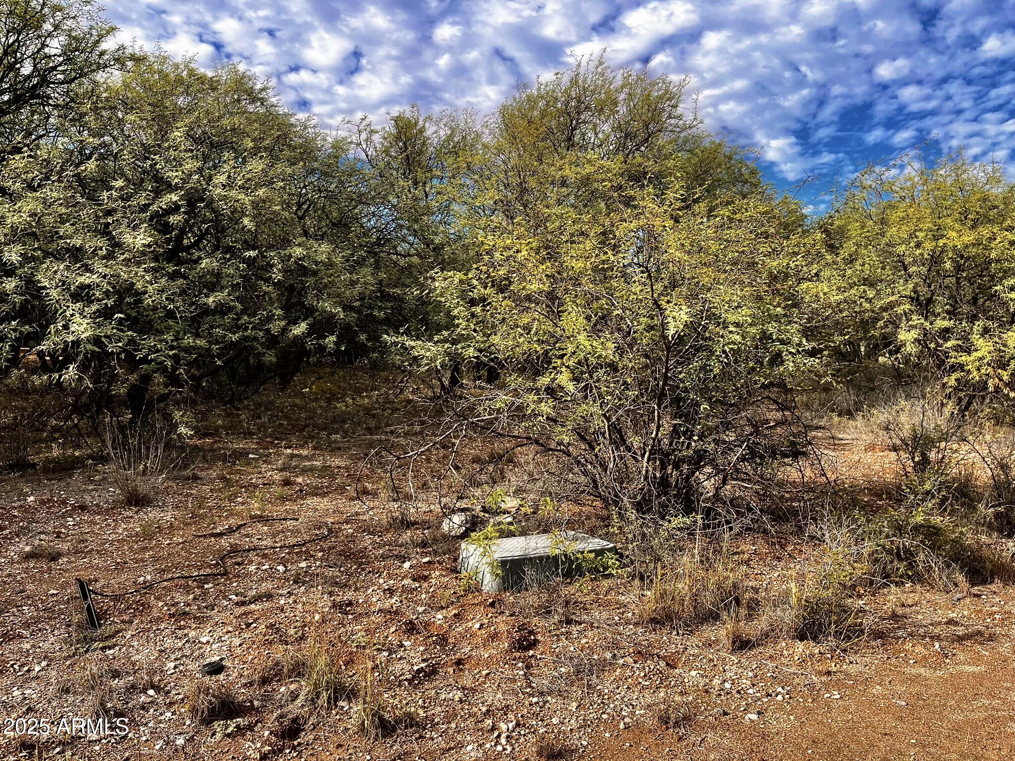 5380 North Barbara Lane, Unit 631 Rimrock, AZ 86335 - Photo 8 of 18 a view of a yard with plants and tree