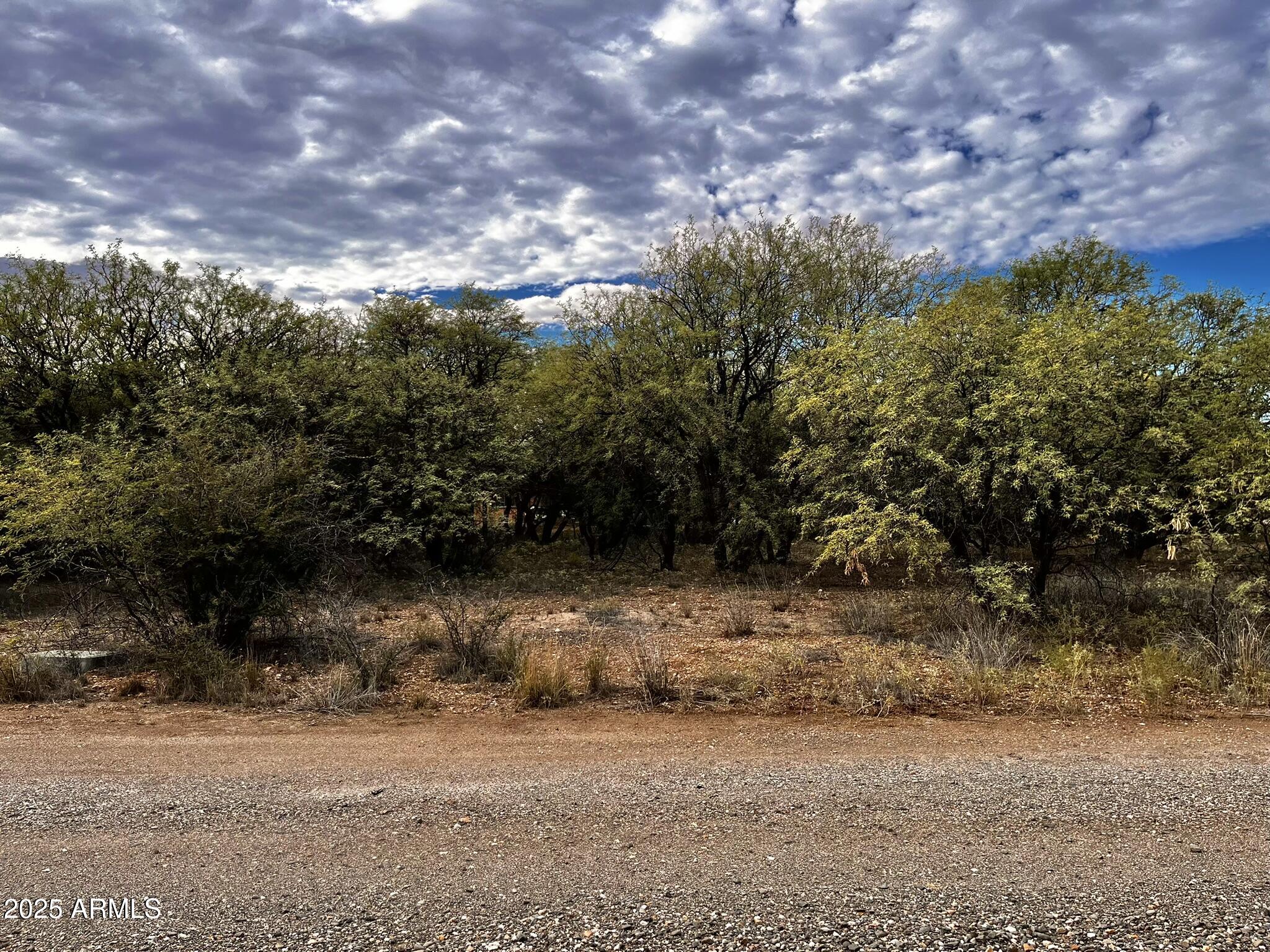 5380 North Barbara Lane, Unit 631 Rimrock, AZ 86335 - Photo 10 of 18 a view of a yard with a tree