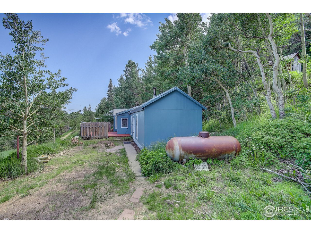 35 Boston Street Ward, CO 80481 - Photo 4 of 34 a view of a house with a yard