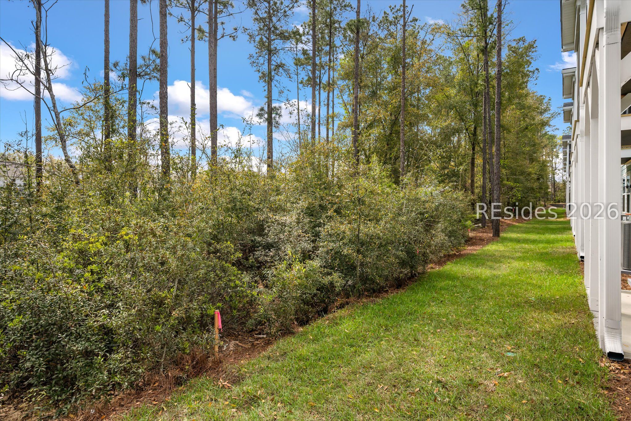 423 East Parkside Cmns Bluffton, SC 29910 - Photo 8 of 34 Backyard space off patio. Can be fenced in!