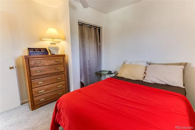 a bedroom with a bed and a closet