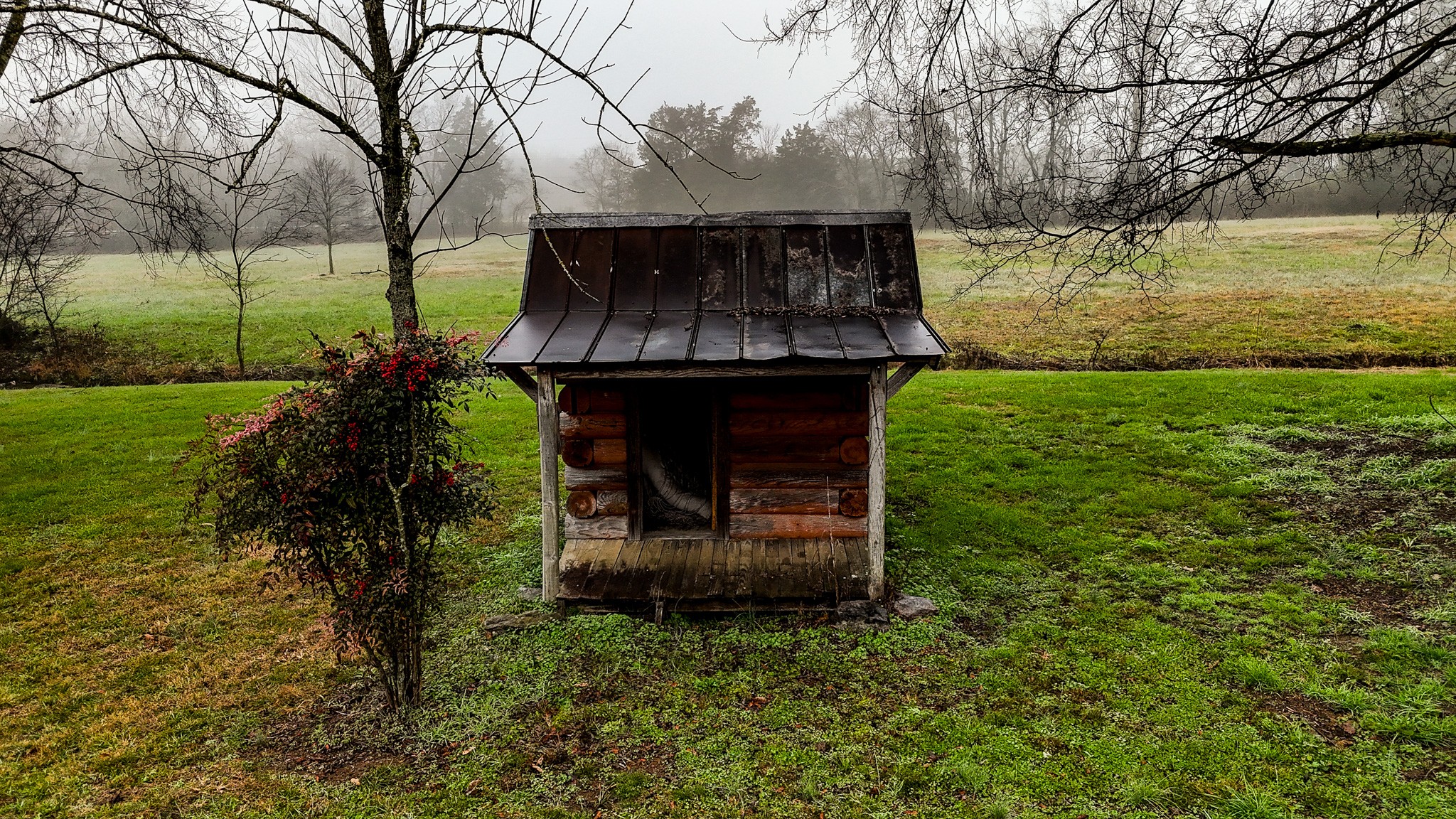 16 Volunteer Road Petersburg, TN 37144 - Photo 25 of 28 a backyard of a house with lots of green space